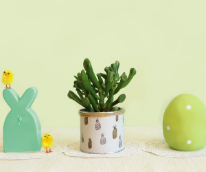 Ostergewinnspiel: jeden Tag einen Preis gewinnen